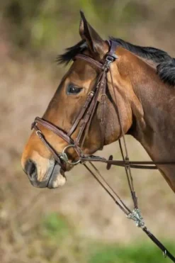 Online Gogue en cuir Enrênements·Gogue