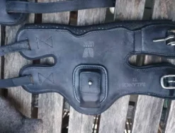 New Guetres de posture Impromove T2 Guêtres De Dressage|Guêtres