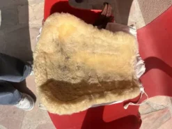 Discount Guêtre cwd vrai mouton Guêtres De Cross|Guêtres