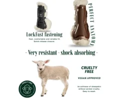 Online Guêtres antérieurs Pegasus mouton synthétique Guêtres