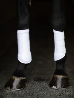 Clearance Guêtres de dressage Classic mesh Rose Gold - Guêtres De Dressage|Guêtres