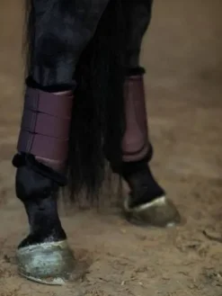 Sale Guêtres de dressage Endless Glow - Guêtres De Dressage|Guêtres