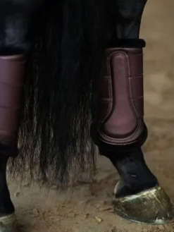 Sale Guêtres de dressage Endless Glow - Guêtres De Dressage|Guêtres