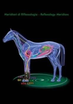 Sale Guêtres de repos thérapeutiques Air antérieurs Guêtres De Repos Et Soins