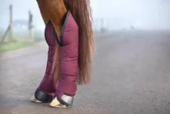 Online Guêtres de transport - Horseware - haute qualité Guêtres De Transport