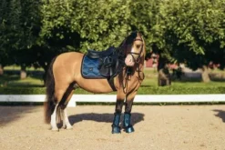 New Guêtres - Monaco Blue Guêtres De Dressage|Guêtres
