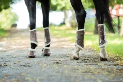 New Guêtres - Champagne Guêtres De Dressage|Guêtres