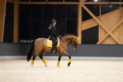 New Guêtres fermées effet cuir platinum 25 - - synthétique Guêtres