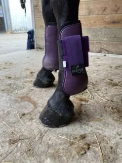 Hot Guêtres Norton violettes taille cheval Guêtres