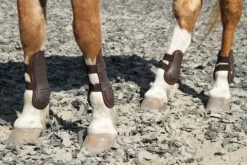 Best Guêtres ouvertes percy air Harry horse Guêtres