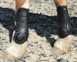 Best Guêtres ouvertes percy air Harry horse Guêtres