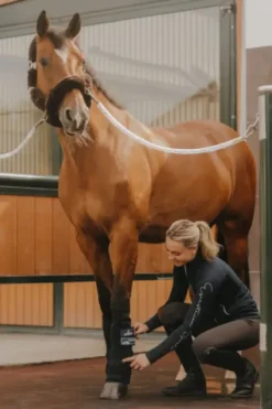 Outlet Guêtres refroidissantes Cryo - Kentucky Guêtres De Repos Et Soins