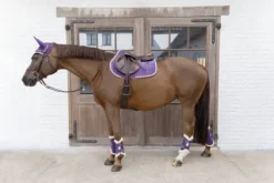 Best Guêtres Velvet Contrast - Kentucky Guêtres