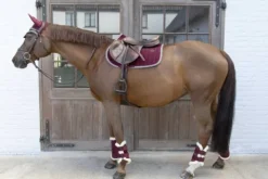 Best Guêtres Velvet Contrast - Kentucky Guêtres