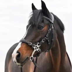 Best Hackamore cuir branches courtes - Jump'in - Poney Mors Et Embouchures