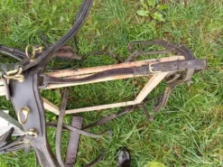 harnais attelage paire Harnais D'Attelage|Equipements D'Attelage