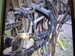 New Harnais marathon en paire taille poney Harnais D'Attelage|Equipements D'Attelage