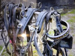 New Harnais marathon en paire taille poney Harnais D'Attelage|Equipements D'Attelage