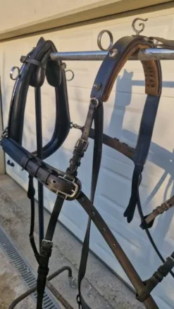 New Harnais pour paire Harnais D'Attelage|Equipements D'Attelage