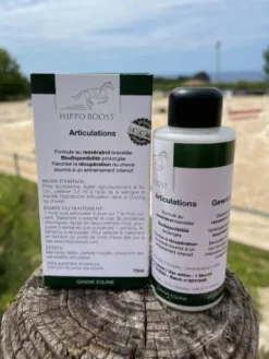 Outlet Articulations Membres·Récupération Musculaire|Membres·Articulations