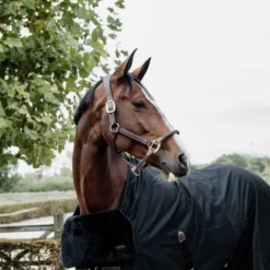 Best Horse Bib protection de poitrail - Kentucky Couvertures Cheval