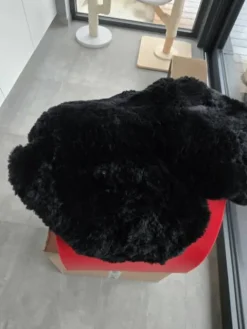 Best Housse de selle western Dessus De Selles