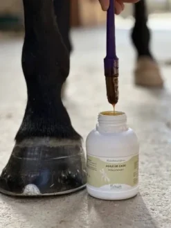 Outlet Huile de Cade Produits De Soin Sabots