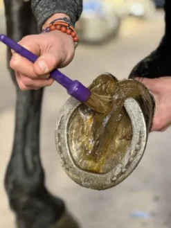 Outlet Huile de Cade Produits De Soin Sabots