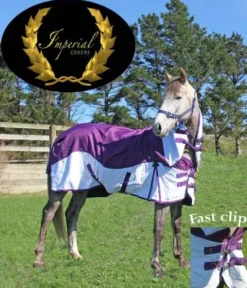 Best Imperial Equestrian Supplies Couvertures Cheval