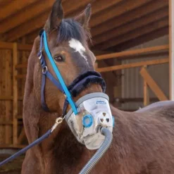 Clearance Inhalateur à ultrasons pour chevaux AirOne Appareil Respiratoire·Nébulisation Cheval