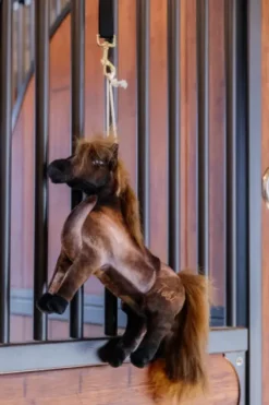 Sale Jouet de boxe Poney Tableux - Kentucky Aménagement De L'Écurie·Jouets Pour Chevaux