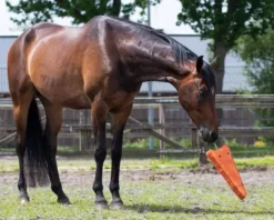 Best Jouet de boxe xl carotte - - suède, fibre de coco Aménagement De L'Écurie·Jouets Pour Chevaux