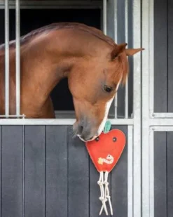 Discount Jouets pour chevaux pomme - - suède et fibre de coco Aménagement De L'Écurie·Jouets Pour Chevaux