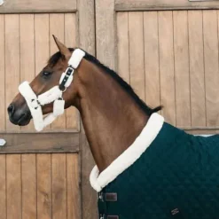 Best Kentucky Couverture de présentation 160gr Couvertures Cheval