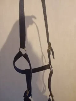 Online Licol Licols Et Longes