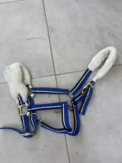 Clearance Licol Licols Et Longes