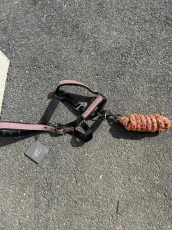 Outlet Licol Licols Et Longes