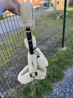 Best Licol Licols Et Longes