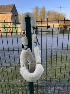 Best Licol Licols Et Longes