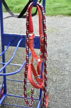 licol Licols Et Longes