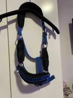 Clearance Licol Licols Et Longes