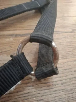 Online Licol Licols Et Longes