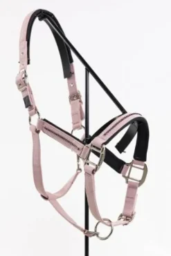 Online Licol + longe Amour - - Réglable et durable Licols Et Longes