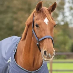 Online Licol + Longe AW24 Licols Et Longes