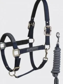 Licol + longe (2 tailles) Licols Et Longes