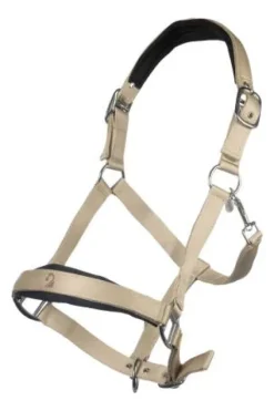 New Licol Amalfi Licols Et Longes