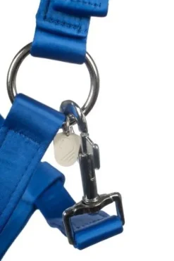 New Licol Amalfi Licols Et Longes