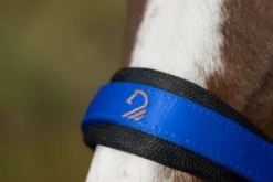 New Licol Amalfi Licols Et Longes