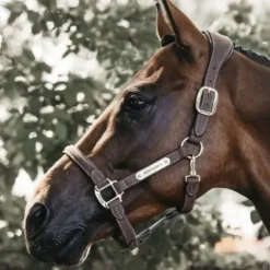 New Licol anatomique en suédine - Kentucky - Cuir artificiel Licols Et Longes