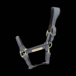 New Licol anatomique en suédine - Kentucky - Cuir artificiel Licols Et Longes